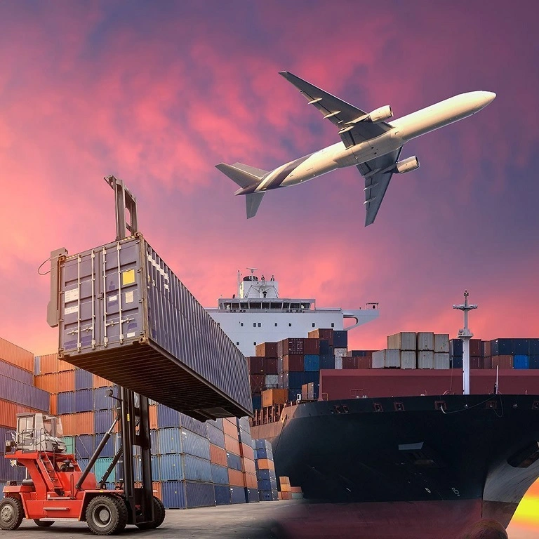 DDP Services in Dubai: A Complete Delivery Solution for Global Trade